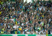 Oswaldo exalta torcida do Palmeiras: 'Nunca vi nada assim'