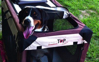 Houba diapo de 07 A 12 2014