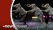 Ringling Brothers Set to Phase Out Elephants in All Circus Shows by 2018