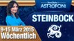 Monatliches Horoskop zum Sternzeichen Steinbock (9-15 März 2015)
