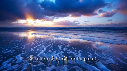 Waves - Bijan Mortazavi