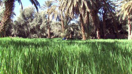 رابحة كموس،  المرأة القروية التي اقتحمت قلاع الذكور