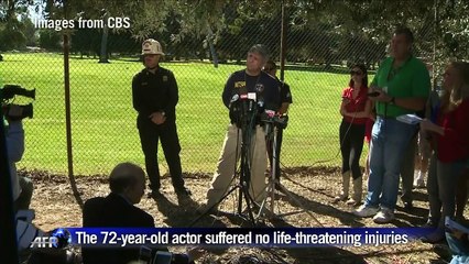 Harrison Ford 'battered but OK' after LA plane crash