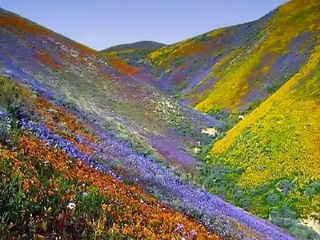 دعاء الشيخ احمد العجمي روعه - YouTube