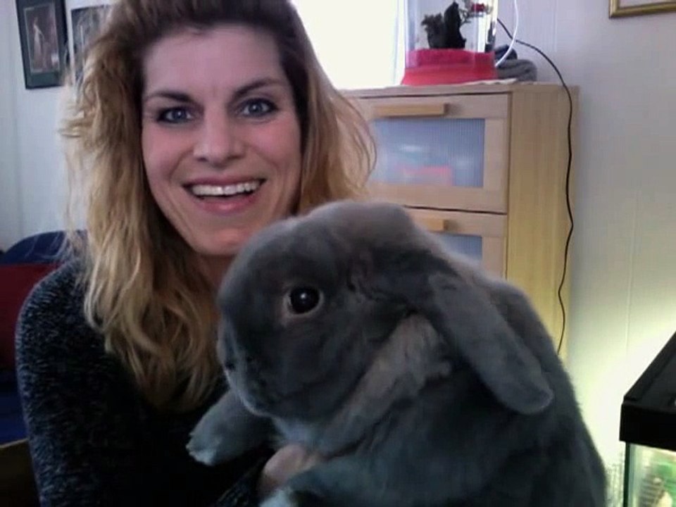 Introducing the Pets  Sunny