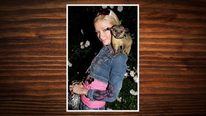 6 Unusual But Legal Pets