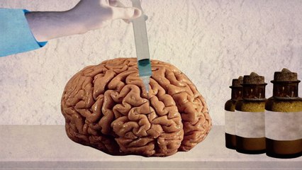 Ask Us Anything: Are Aphrodisiacs Real?