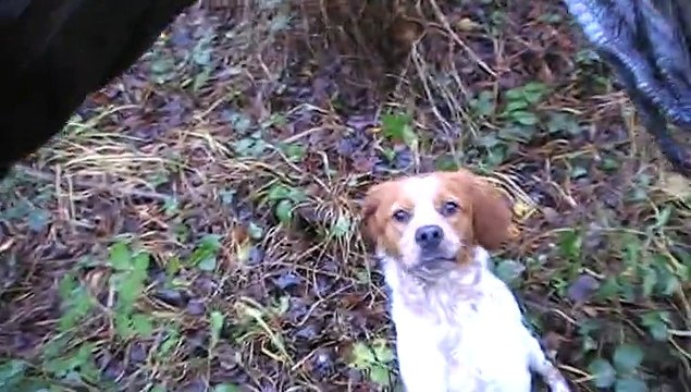 Jox rapport faisan à 6 mois