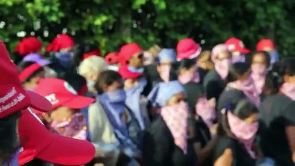 VERGONHA !!! Mulheres do MST destroem 15 anos de pesquisa em biotecnologia