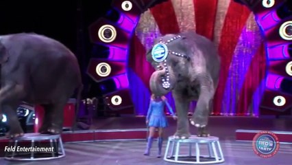 Elephant Acts To Be Removed From Ringling Bros. Line-Ups