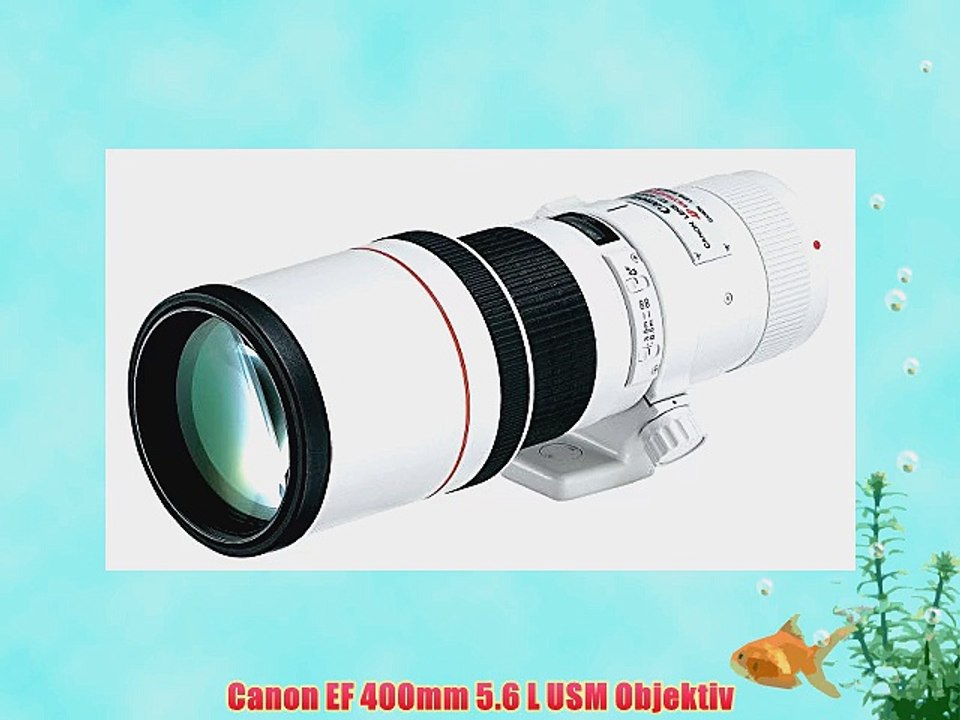 Canon EF 400mm 5.6 L USM Objektiv