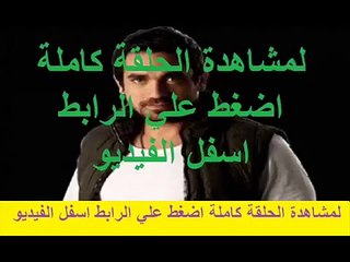 مشاهدة مسلسل وادي الذئاب مسلسل وادي الذئاب الحلقة 40