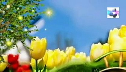 soñar que rompemos un libro significado de los sueños español latino