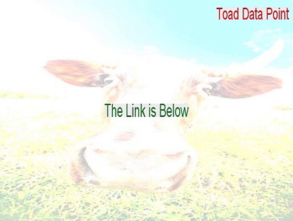 Toad Data Point Serial [Legit Download 2015]