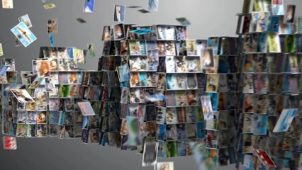 Pro Tog, DIY Challenge - Ring Light (feat. Mark Chung)