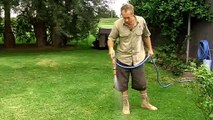 common-lawn-problems, Sir-Walter-grass-care tips