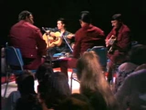 Elvis Presley - That's Alright Live