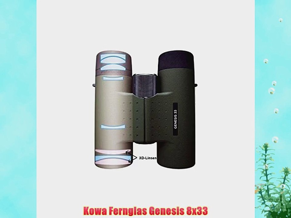 Kowa Fernglas Genesis 8x33