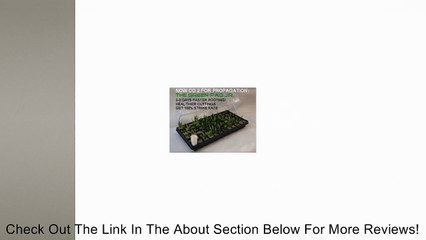 The Green Pad Jr. Co2 Generator, 10 Pack Review