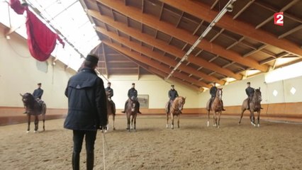 Coulisses - Cadre Noir : Spectacle Equestre