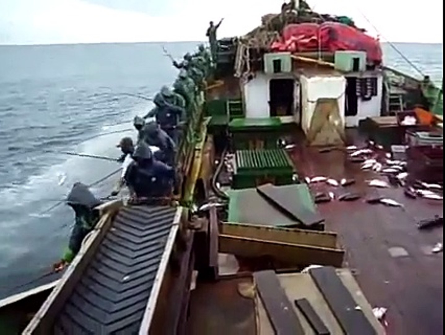 ⁣Amazing amazing fish hunting.