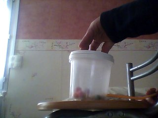 petite expérience style on n'est pas que des cobayes