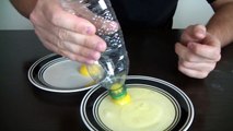 10 Amazing Science Experiments you can do with Eggs