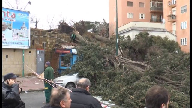 Napoli - Maltempo, crolli e paura per forti raffiche di vento (06.03.15)