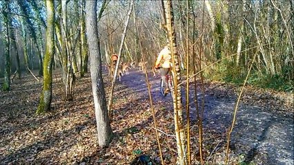 chasse au chevreuil du rallye les ores st Etienne de brillouet