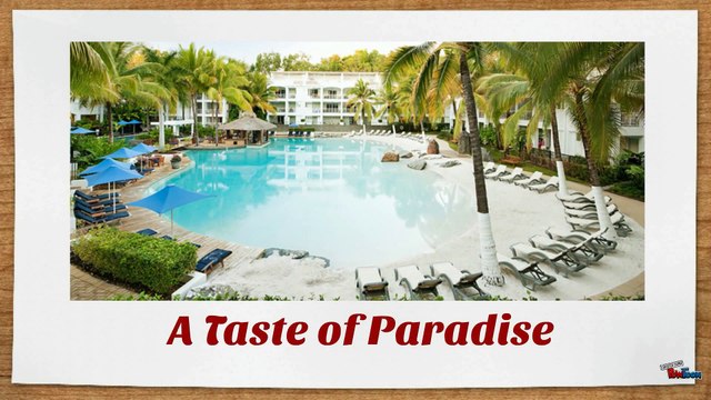 Palm Cove Accommodation - Resort, Reef & Rainforest, Family Tour