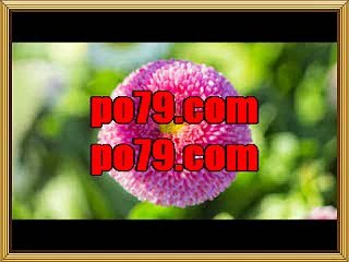 엠엘비토토【【 po７9ㆍСΟМ 】】엠엘비배당 엠엘비분석