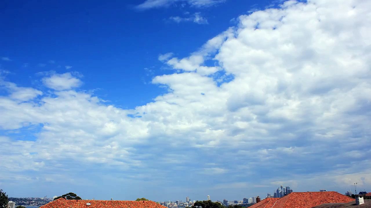 Sydney Southerly Buster