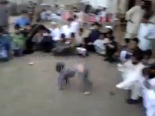 What An Amazing Talent Of A Kid