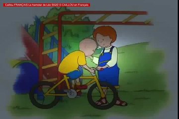 Caillou FRANÇAIS Le hamster de Léo S02E13 CAILLOU en Français