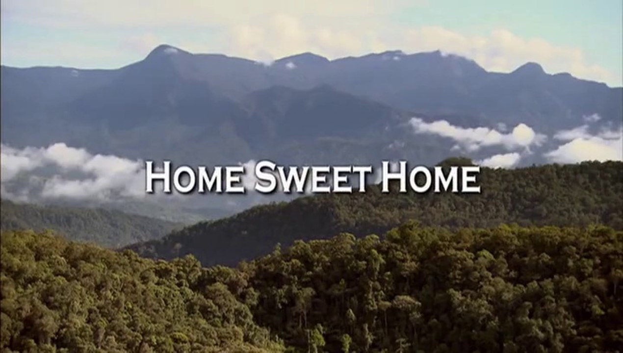 Home Sweet Home.