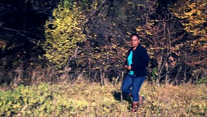 GLOBO REPÓRTER - Romênia - 06/03/2015 Parte 1/3 Online Completo HD 720p 06-03-2015