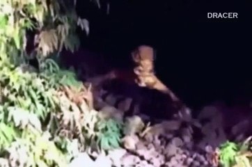 7 VIDEOS PARANORMALES