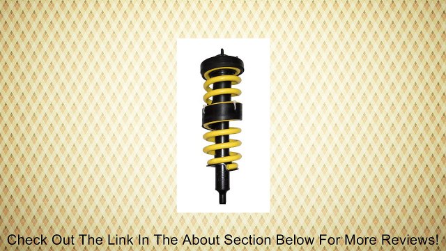 SuperSprings CSS-1168 Coil Spring Review