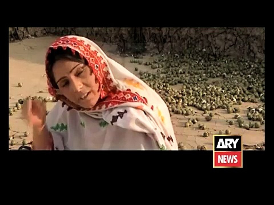 Naqabil e Faramosh JOGI ARY News PART 2 of 3