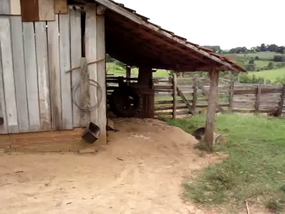 Un cheval gare sa charrette seul