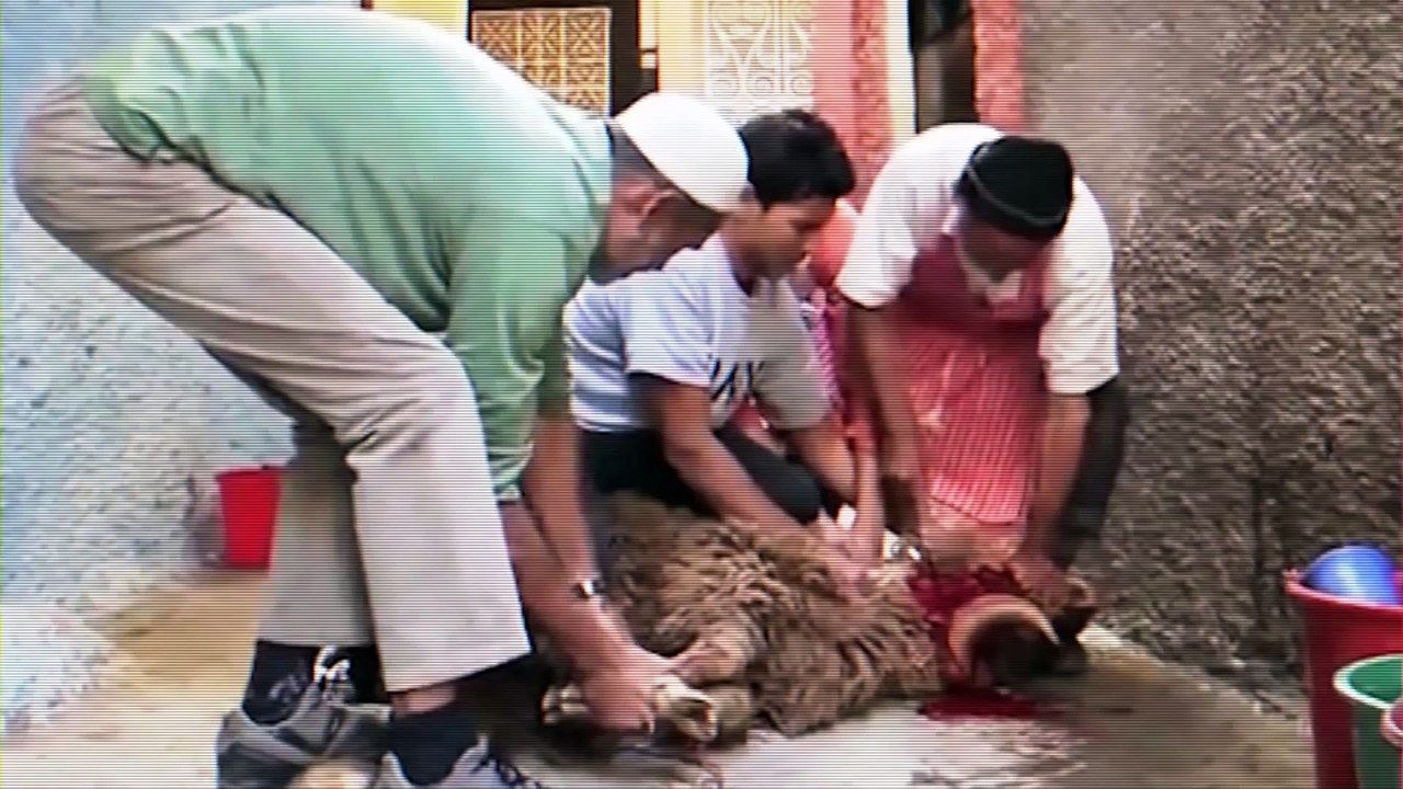 Evolution  par MagiCJacK