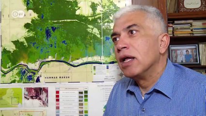 Reviving the marshlands in southern Iraq | Journal