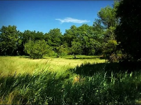 Minuscule La Vie privée des insectes saison 1 E43 Un Radiateur Pour Deux