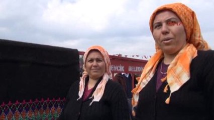 Germencik'te Ücretsiz Deve Güreşi Keyfi