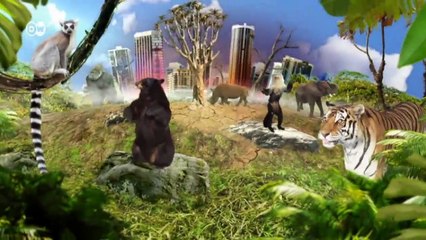 Camboya: lucha contra el tráfico de animales | Global 3000