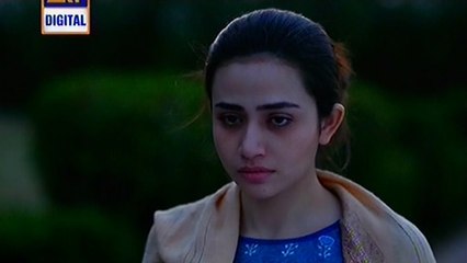 Goya Episode 17 Full on Ary Digital - March 7