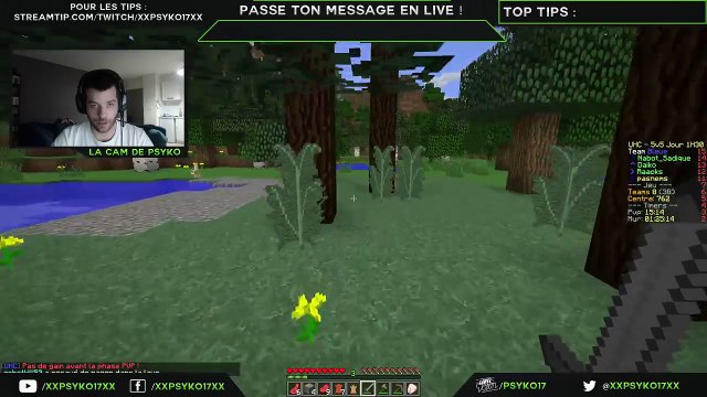 FIFA psyko in the game (REPLAY)