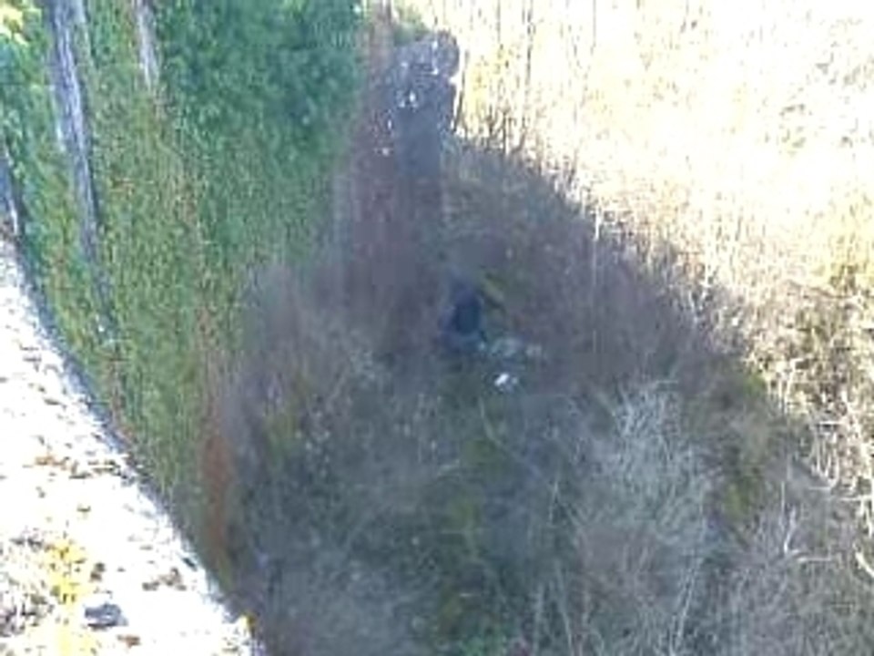 DSCF2652