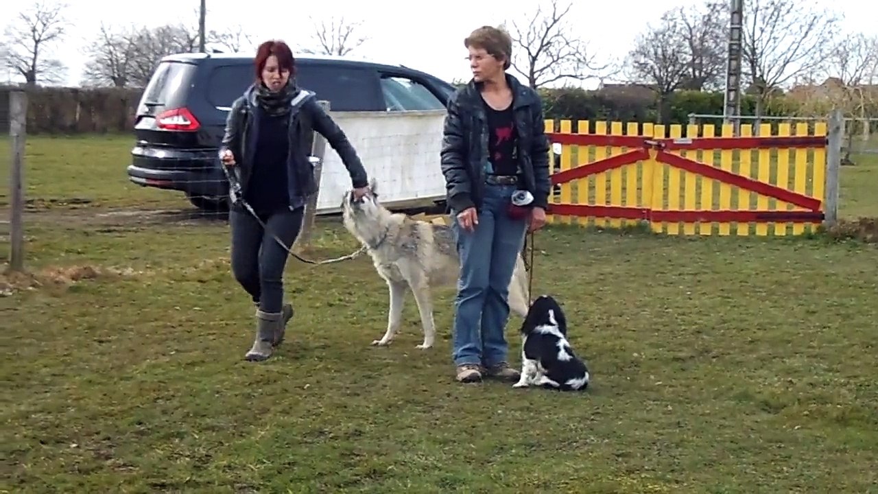 DE LA VERTE ALBION 2015  03