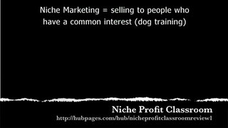 Niche Profit Classroom Review